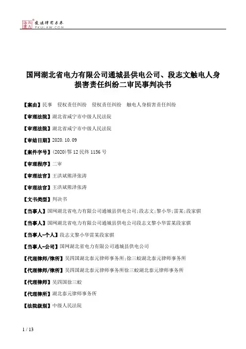 国网湖北省电力有限公司通城县供电公司、段志文触电人身损害责任纠纷二审民事判决书