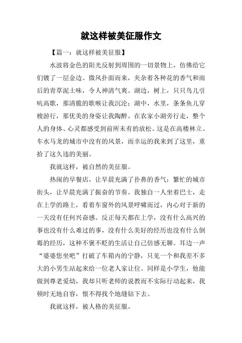 就这样被美征服作文