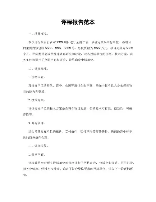 评标报告范本