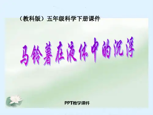 马铃薯在水中的沉浮精品课件