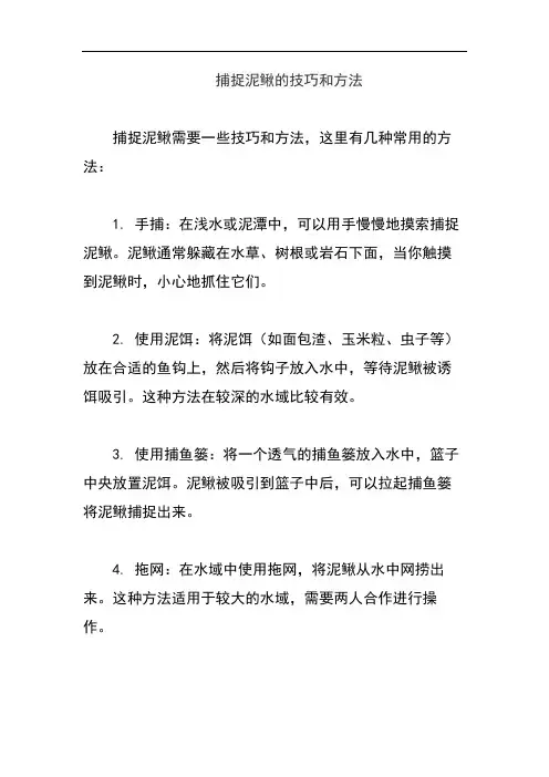 捕捉泥鳅的技巧和方法