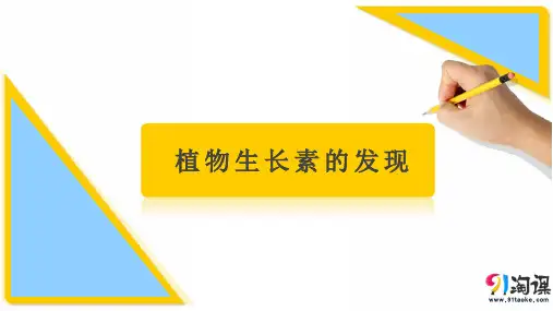 课件17：3.1 植物生长素的发现