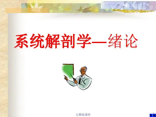 系统解剖学 01骨学ppt课件