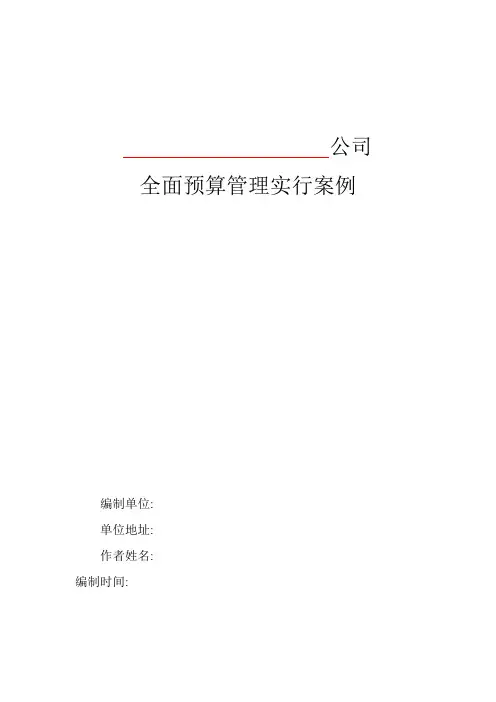 全面预算管理--模板