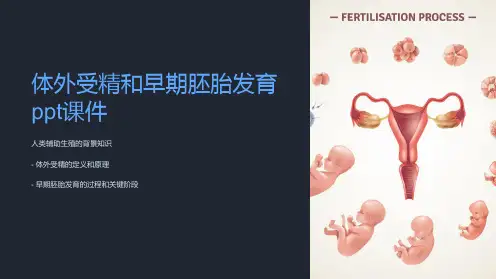 体外受精和早期胚胎发育课件