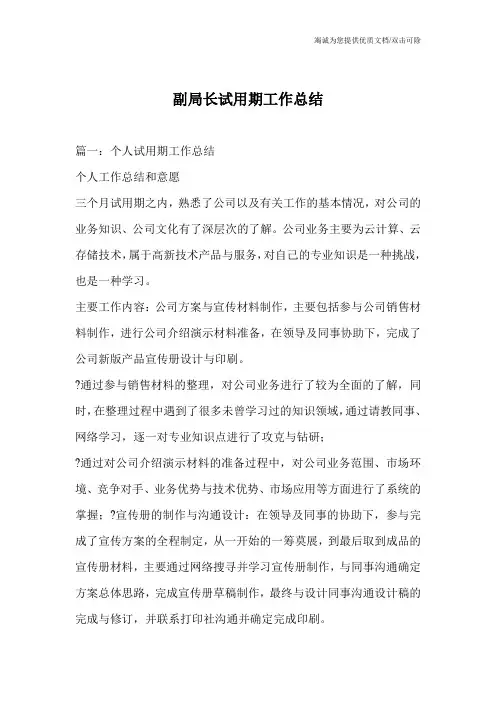 副局长试用期工作总结