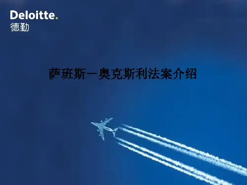 萨班斯-奥克斯利法案介绍