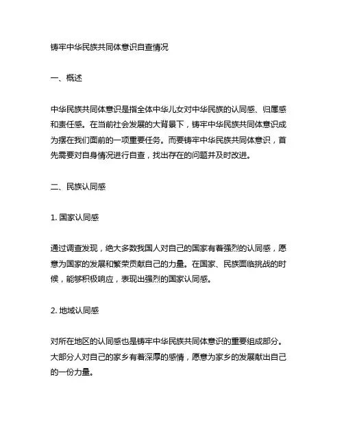 铸牢中华民族共同体意识自查情况