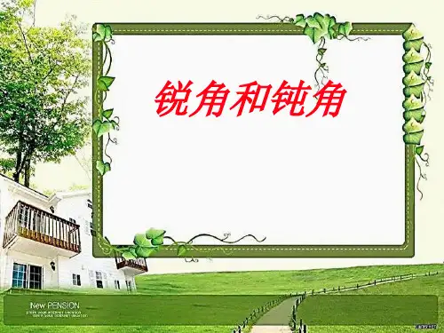 人教版《角的初步认识》完美版课件5(共11张PPT)