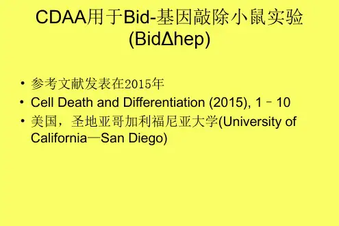CDAA诱导基因敲除小鼠