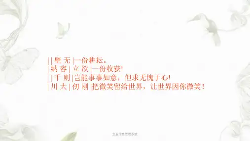 企业信息管理系统课件
