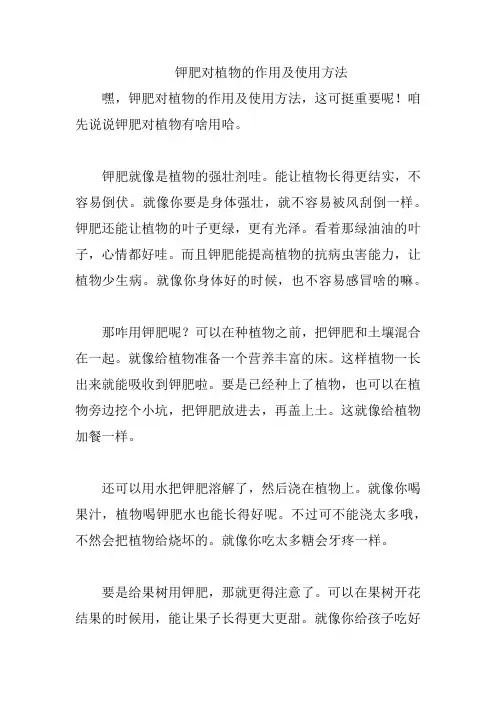 钾肥对植物的作用及使用方法