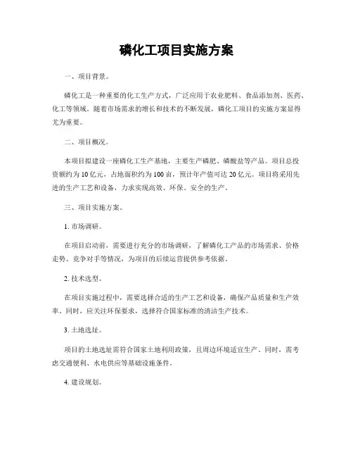 磷化工项目实施方案