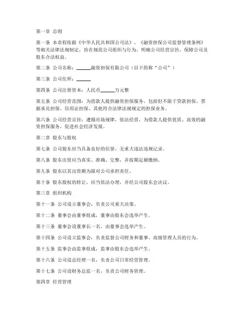 融资担保公司章程模板