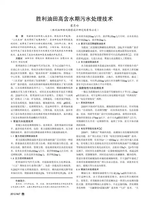 胜利油田高含水期污水处理技术