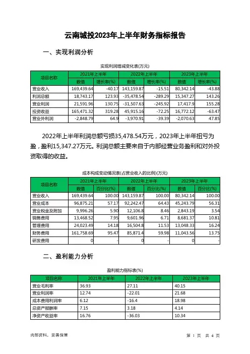 600239云南城投2023年上半年财务指标报告