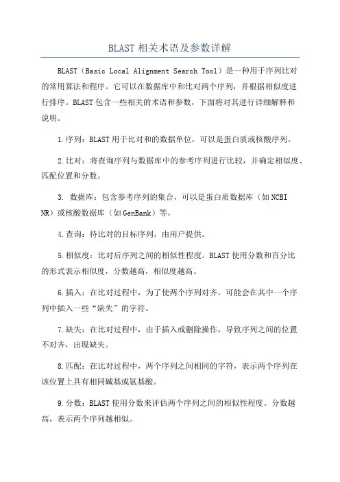 BLAST相关术语及参数详解