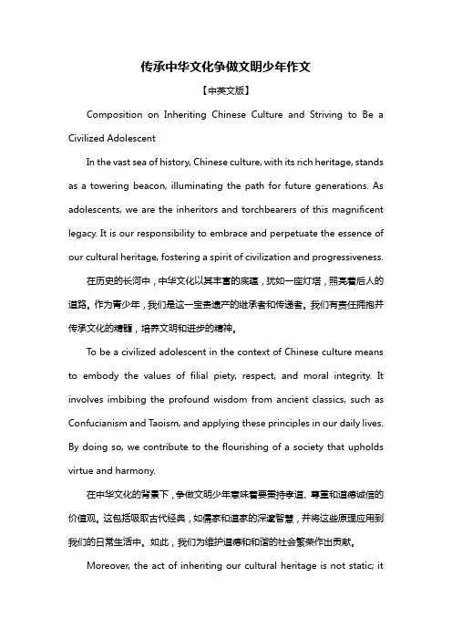 传承中华文化争做文明少年作文