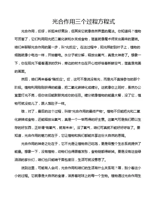 光合作用三个过程方程式
