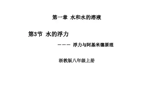 1.3水的浮力课件浙教版八年级上册科学3