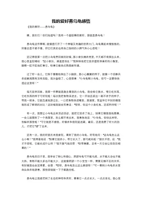 我的爱好养乌龟感悟