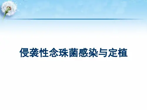 念珠菌定植与感染的关系测试