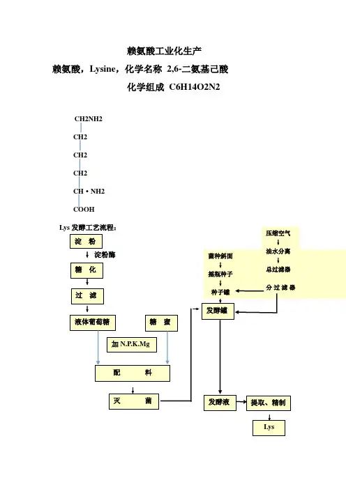 赖氨酸工业化生产