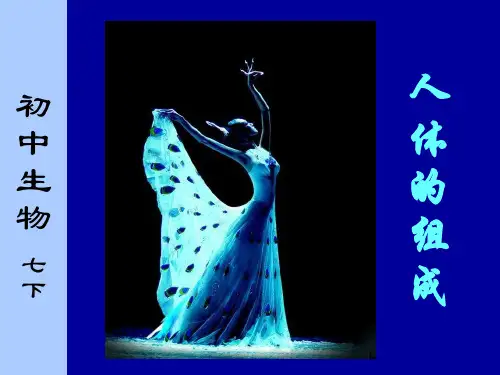 苏科版七下生物  人体的组成 课件(1)