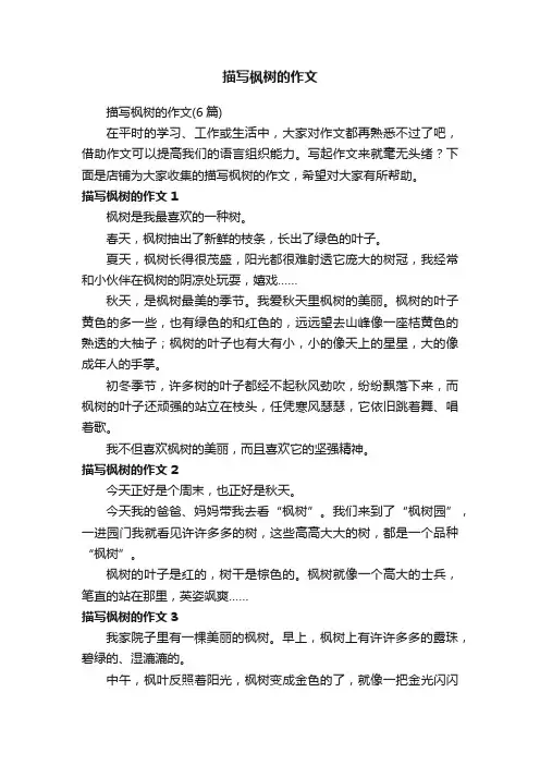 描写枫树的作文