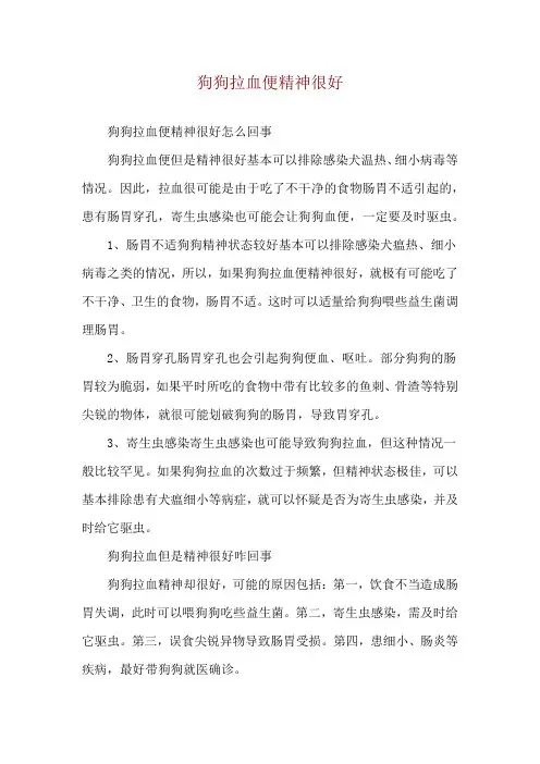 狗狗拉血便精神很好