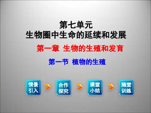 人教版生物八下7.1.1《植物的生殖》同步教学课件(共27张PPT)