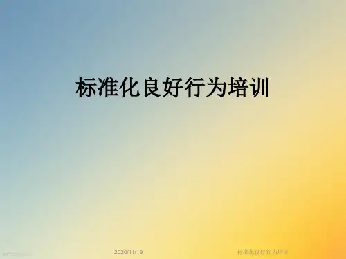 标准化良好行为培训