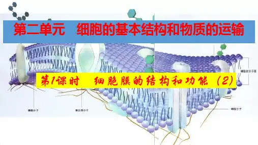 2023届高三生物一轮复习课件细胞膜的结构和功能