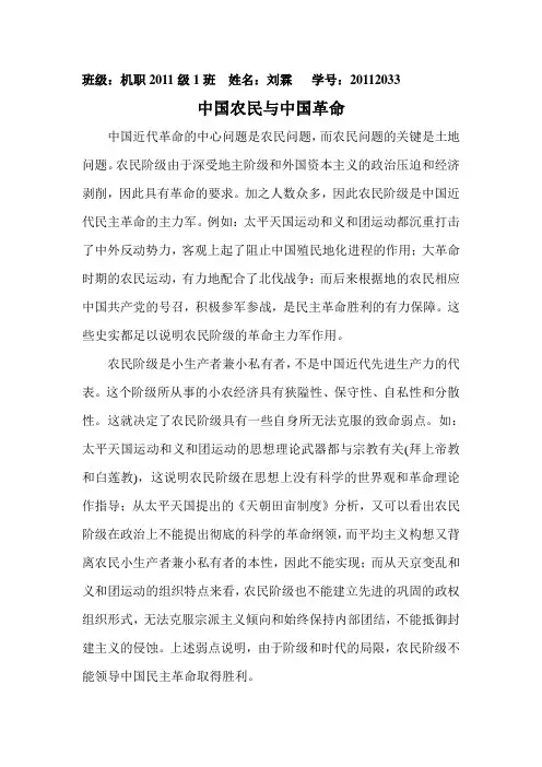 中国农民与中国革命