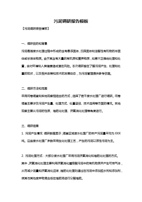 污泥调研报告模板