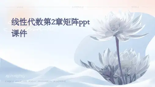 线性代数第2章矩阵PPT课件