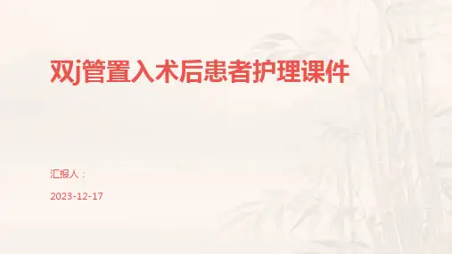 双j管置入术后患者护理课件