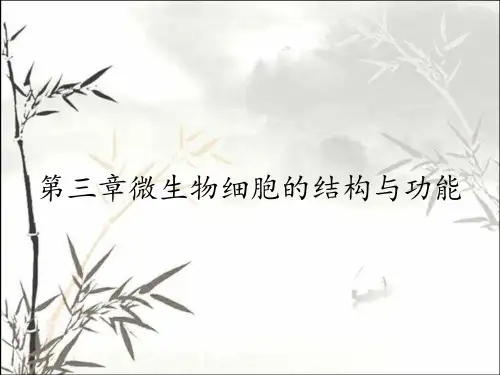 第三章微生物细胞的结构与功能