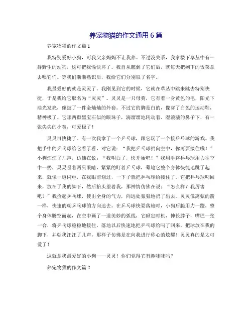 养宠物猫的作文通用6篇