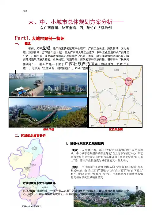 大、中、小城市总体规划案例分析报告