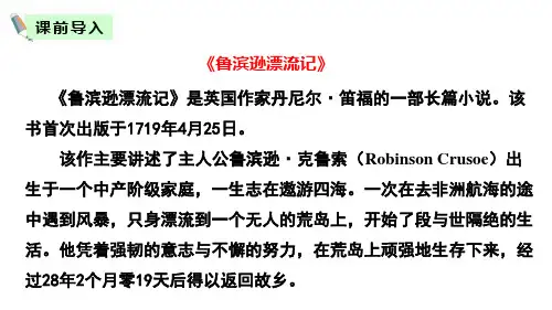 鲁滨逊漂流记节选完美版PPT课件.pptx