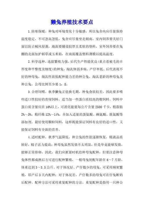 獭兔养殖技术要点