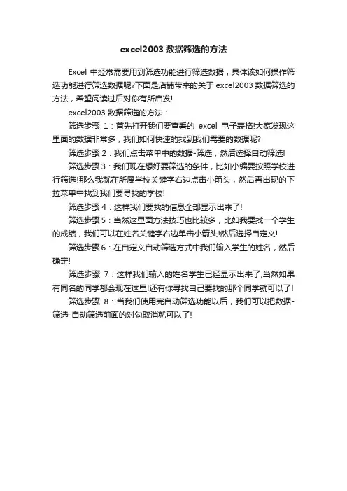 excel2003数据筛选的方法