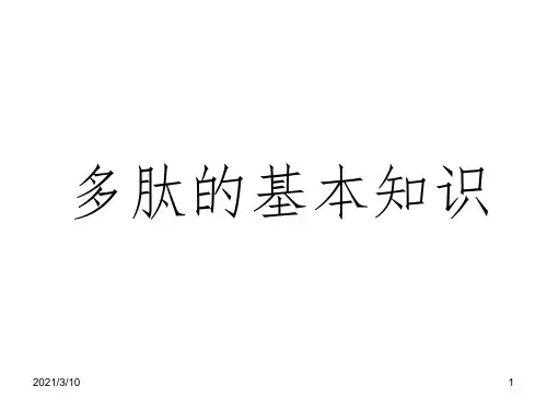 多肽知识课件PPT