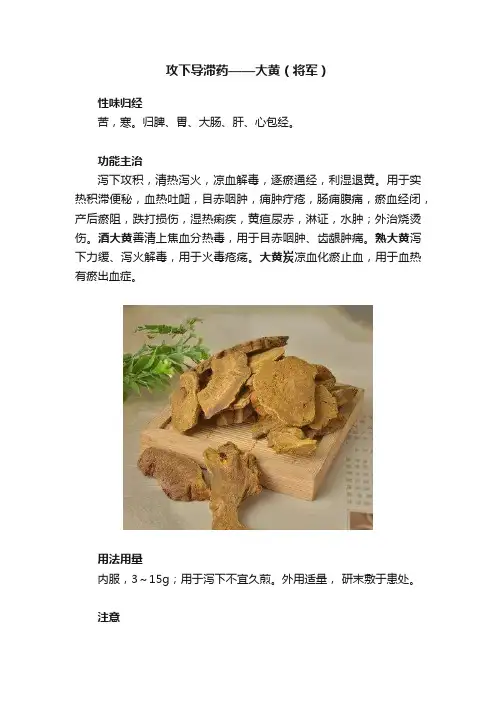 攻下导滞药——大黄（将军）