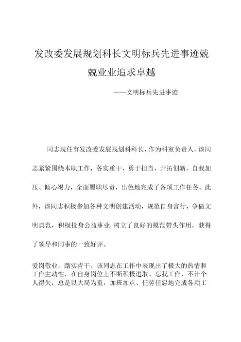 发改委发展规划科长文明标兵先进事迹兢兢业业追求卓越