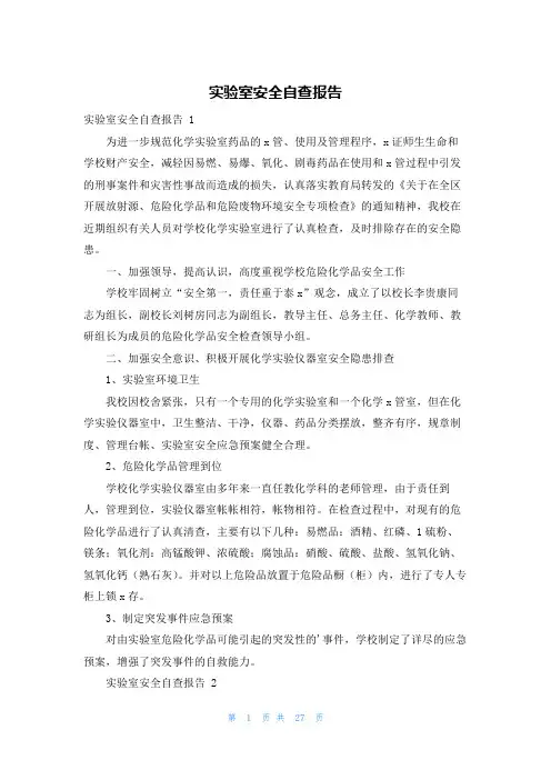 实验室安全自查报告