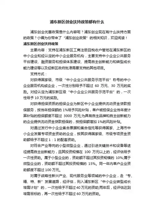 浦东新区创业扶持政策都有什么
