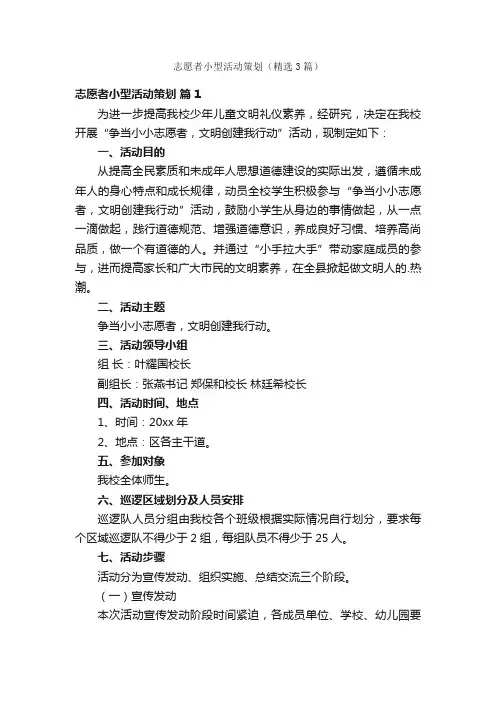 志愿者小型活动策划（精选3篇）