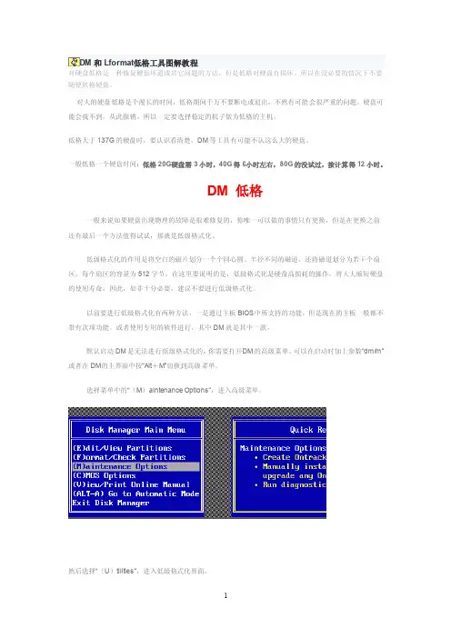 DM和Lformat低格工具图解教程